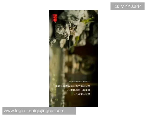 2026年3月份新闻李军的攀岩人生在高峰与深渊之间的深度对话与思考